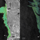 On 24 and 25 August 2021, the Copernicus Sentinel-1 satellites have imaged an oil spill on the coast of Syria. It has since spread to the west.